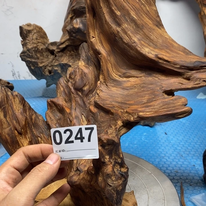 不***我木我在外面吃饭呢218