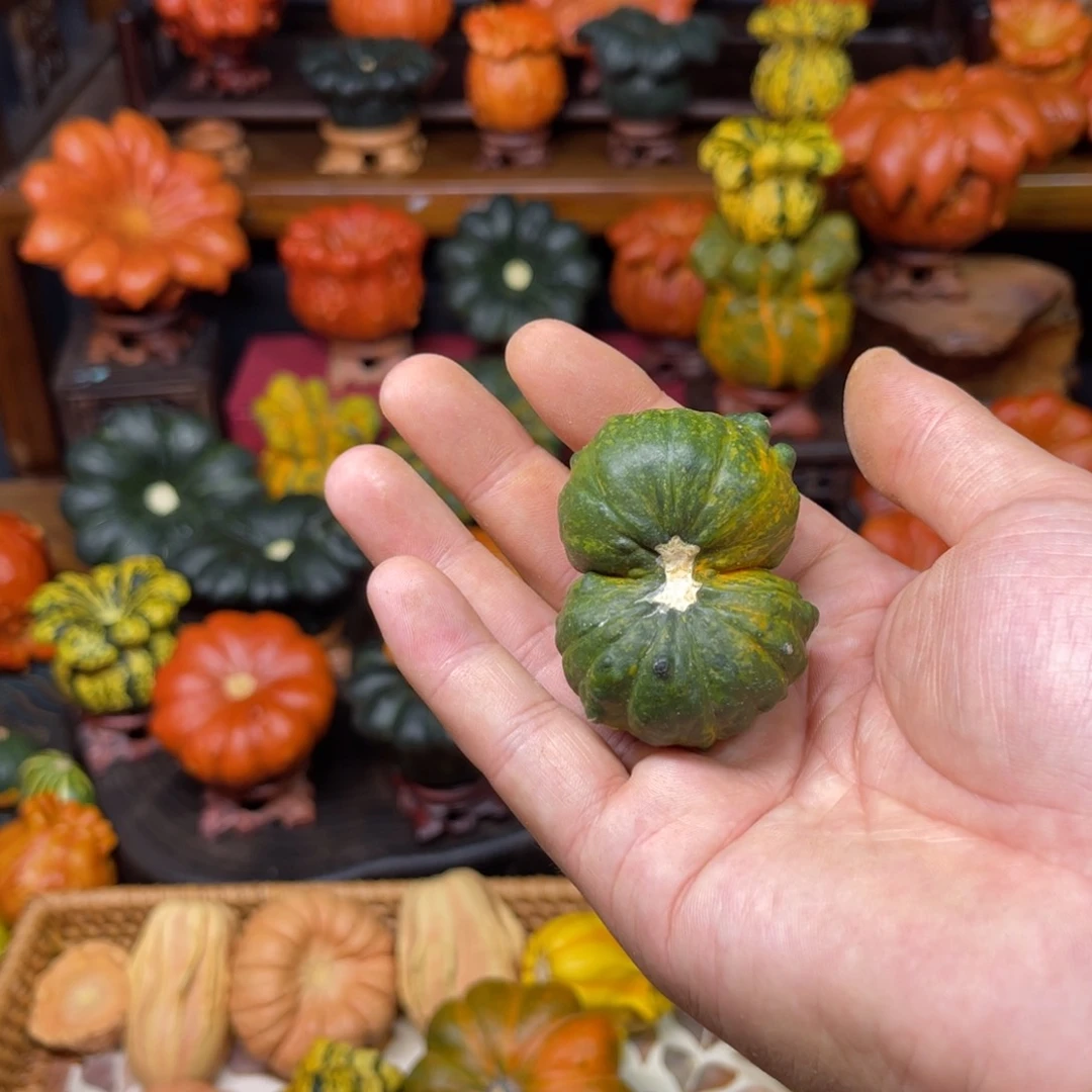 土***肉哈喽哈喽哈喽哈喽哈喽哈喽