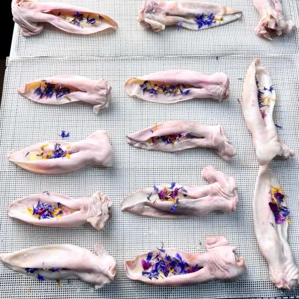 泡芙家【羊奶淋面兔耳】宠物零食补充软骨素磨牙洁齿易吸收易消化