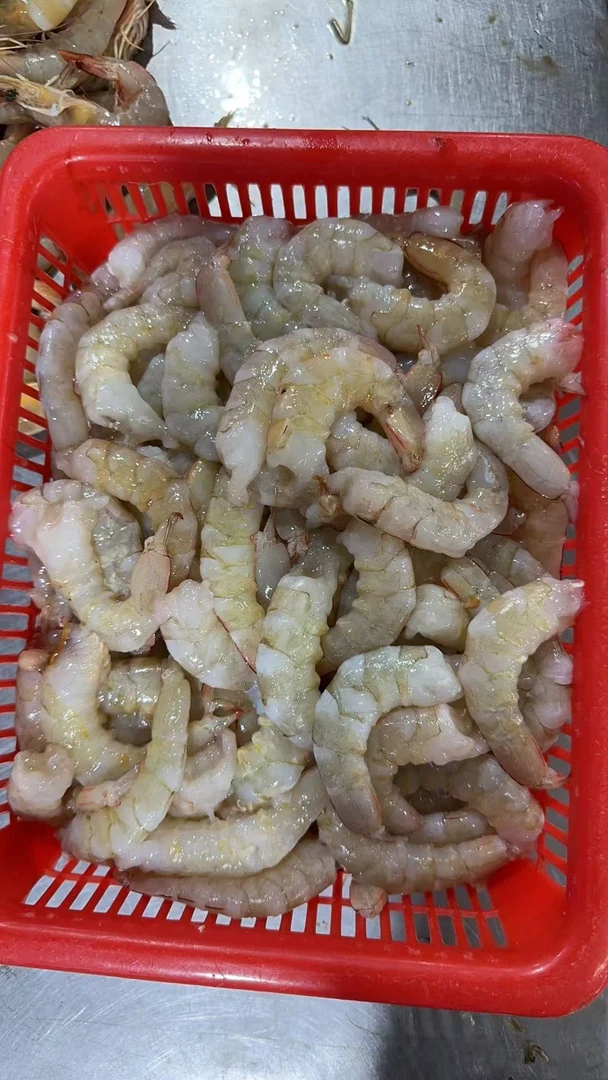 北海野生虾仁，现剥现发