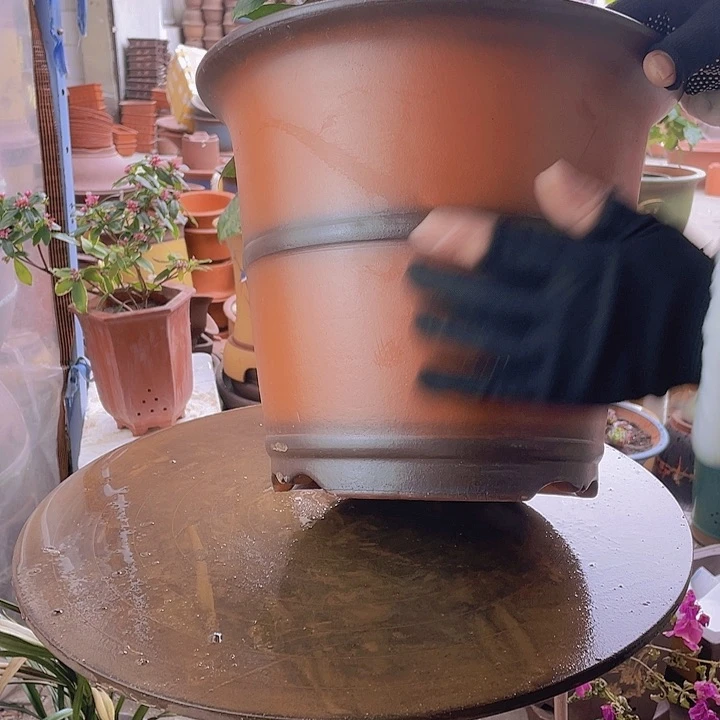 紫砂宜兴紫砂仿古种树31