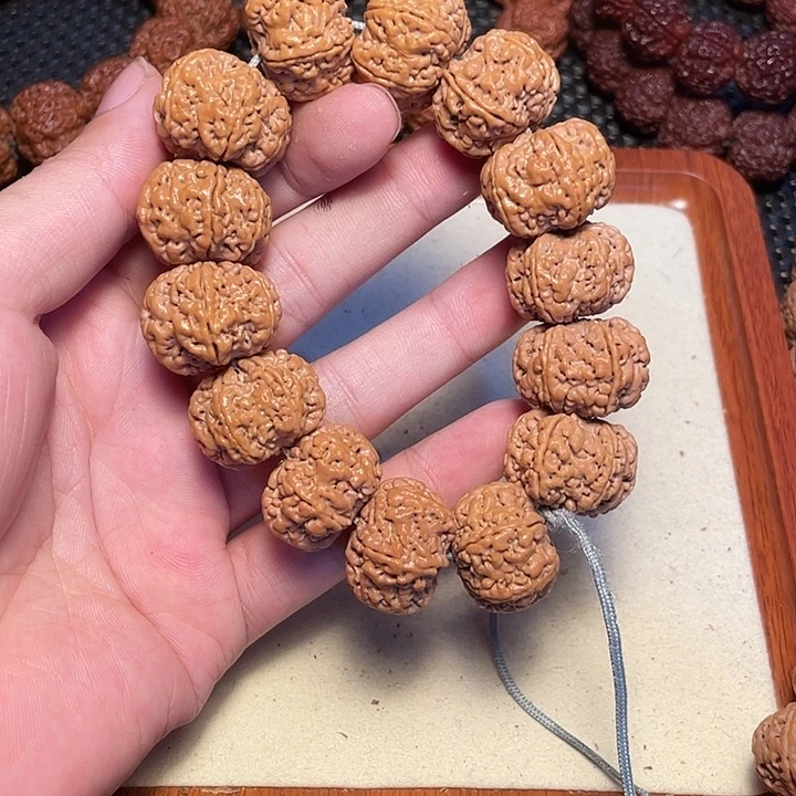 金刚菩提吊坠?****?尼泊尔大金刚菩提