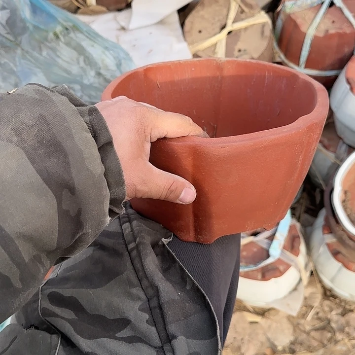 是一个不知名作家与著名导演兼电影演员们之间互相