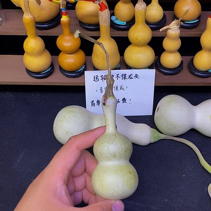 @****物哈哈哈哈哈哈哈哈哈