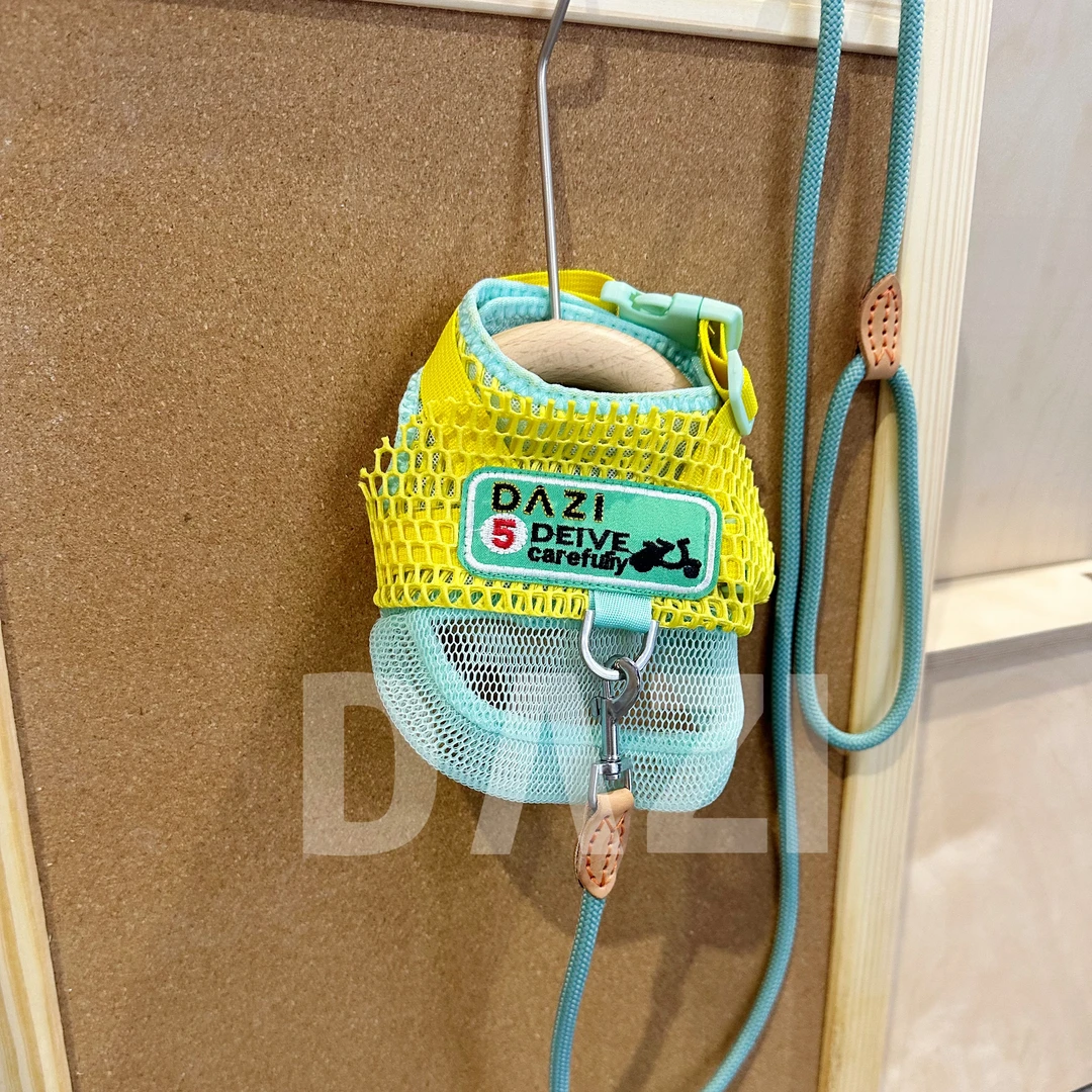 DAZI大子原创夏季果绿色宠物外出防爆冲胸背牵引