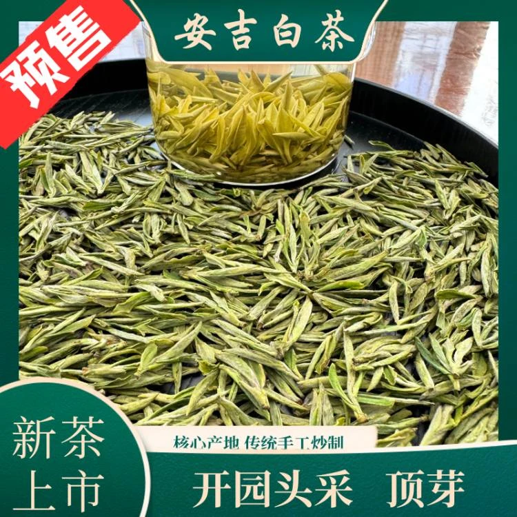【新茶上市】开园头采顶芽五锋山白茶新茶