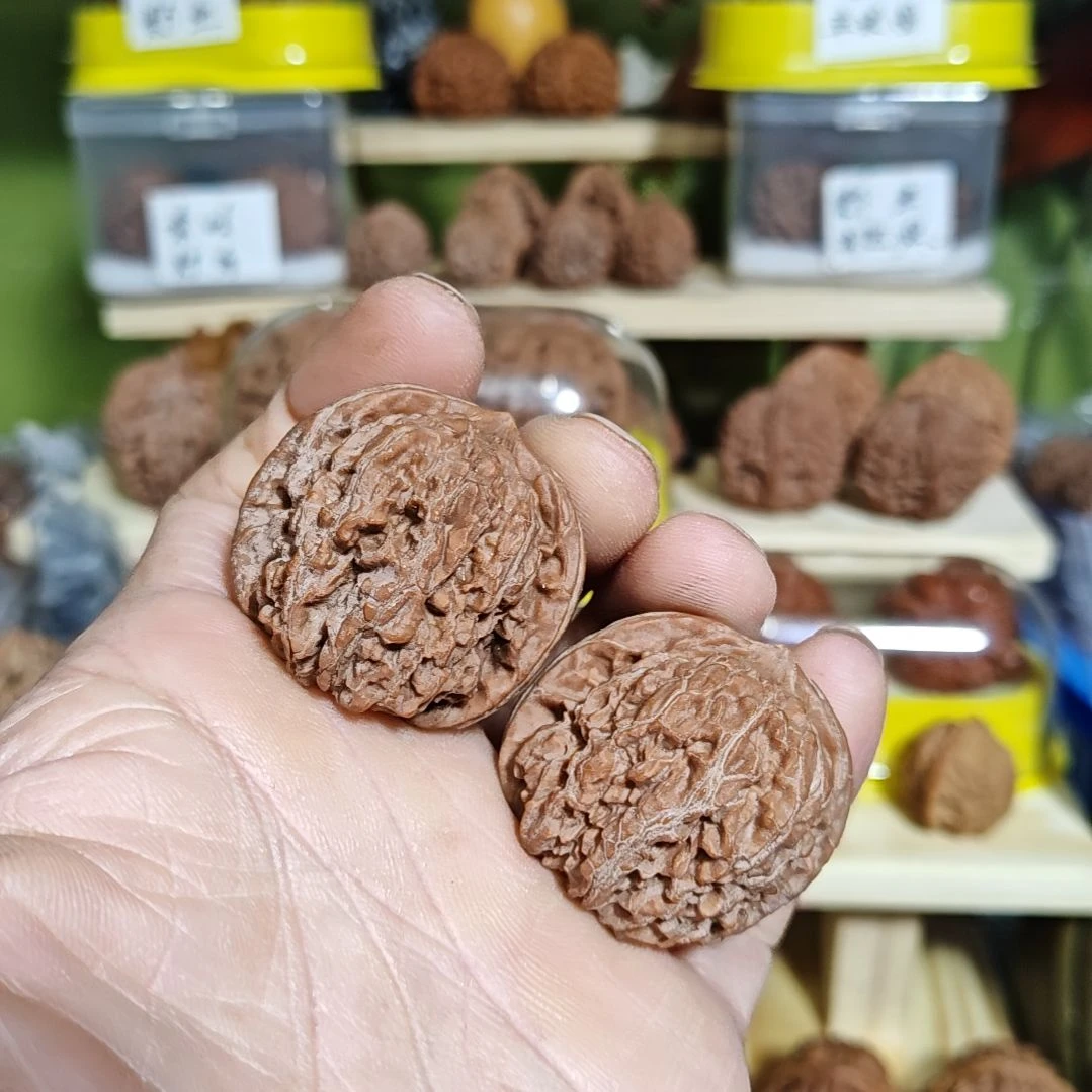38加尺寸137狮子头
