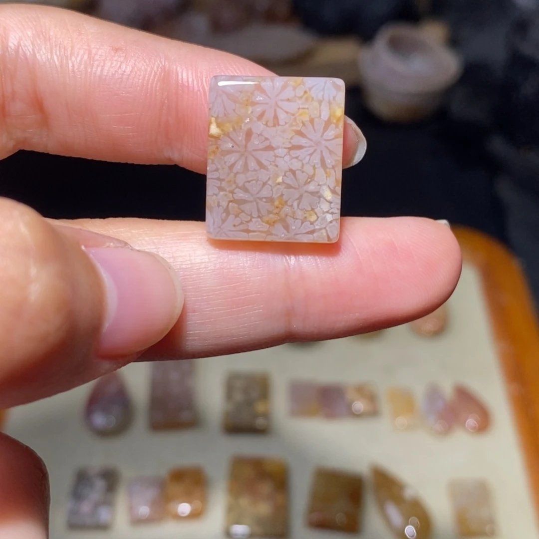 【闪购商品】硅化玉珊瑚玉未镶嵌