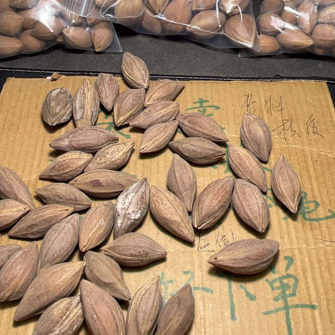 苏***哥不退不换rfefttg