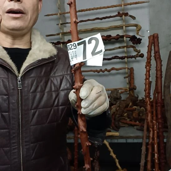 用***8香榧木高山 檬子木文玩料