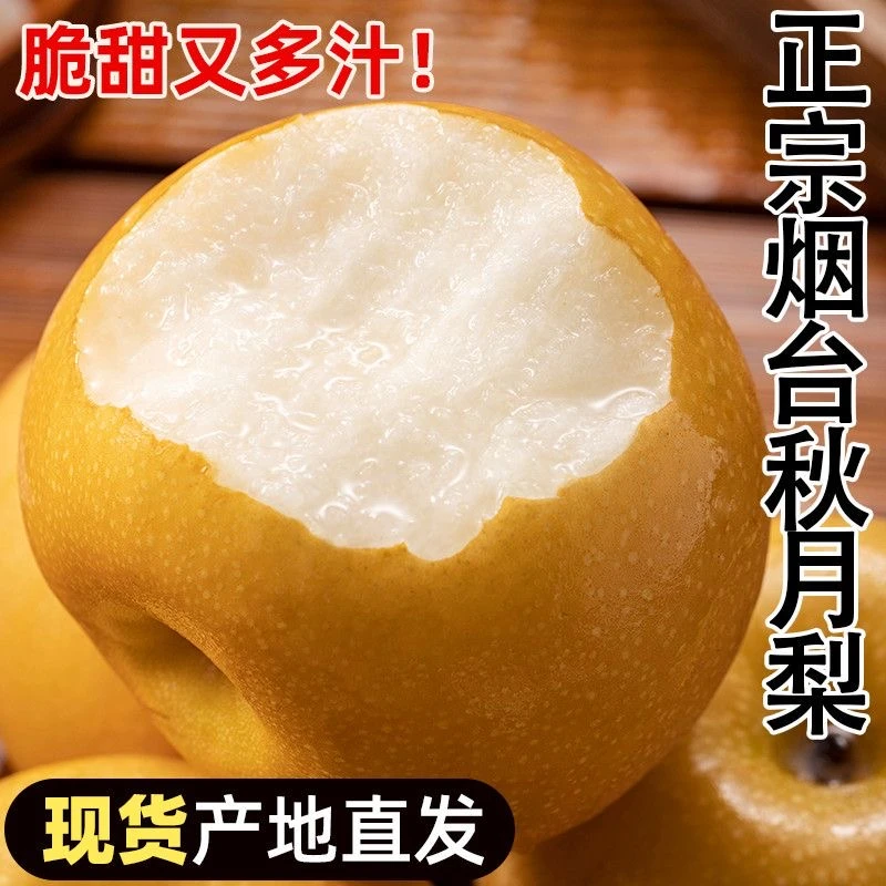【脆甜】山东烟台特产秋月梨 新鲜水果皮薄多汁梨子净重4.5斤
