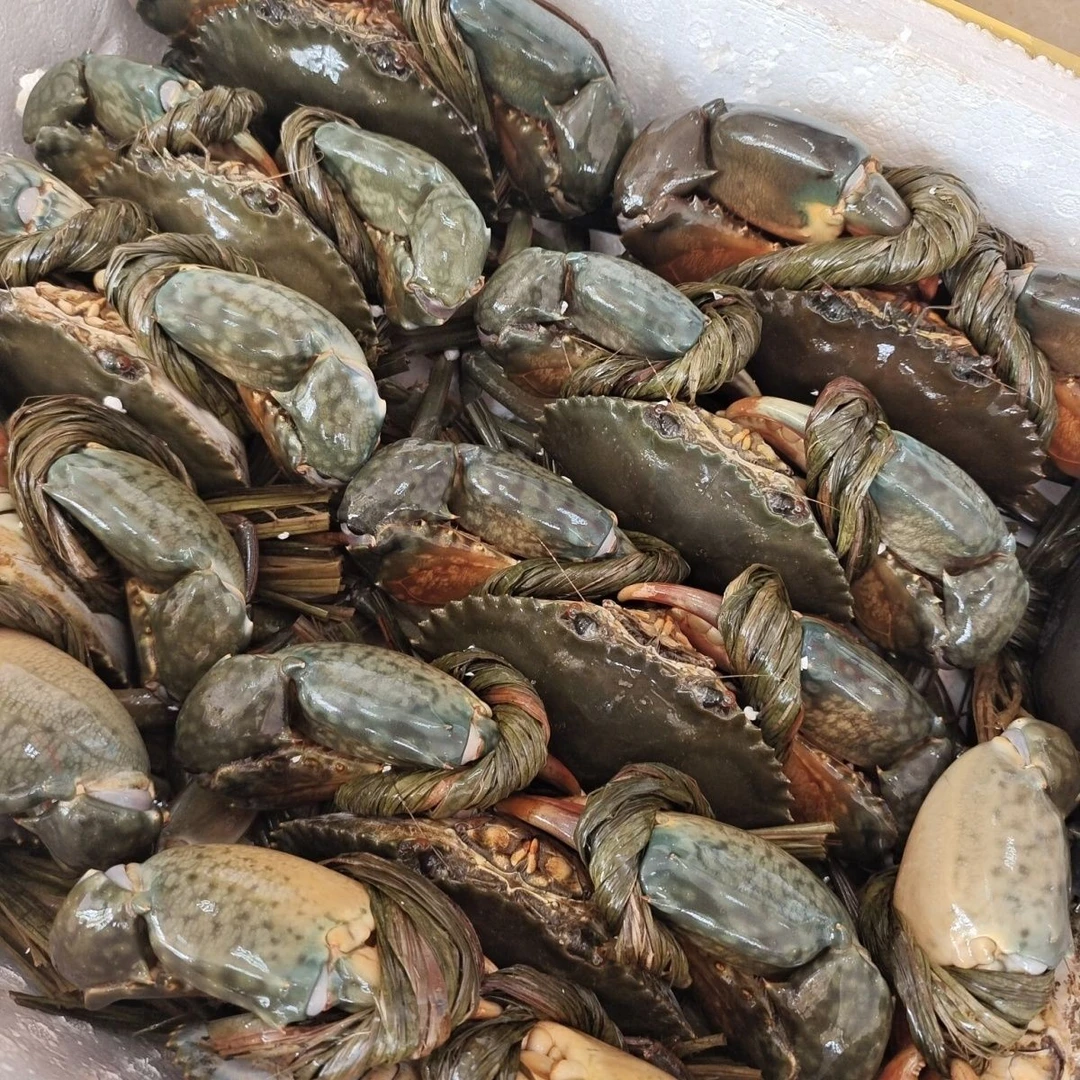 北部湾青蟹1斤发3个顺丰包邮包活