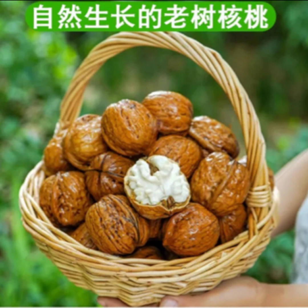 四川凉山去青皮核桃～当季水果零食生吃核桃