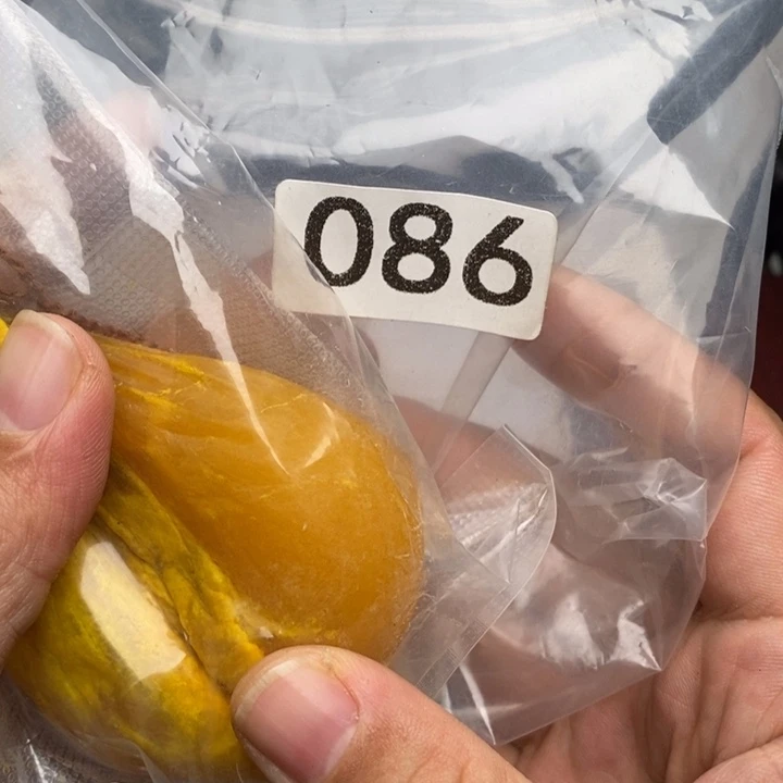 科檀（科特迪瓦檀木）