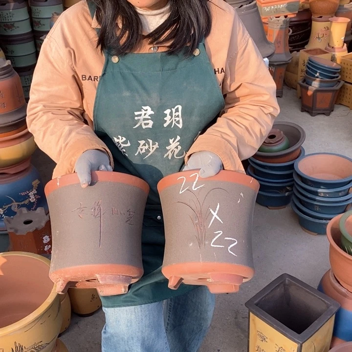 紫砂花盆盆栽花卉苗木种植