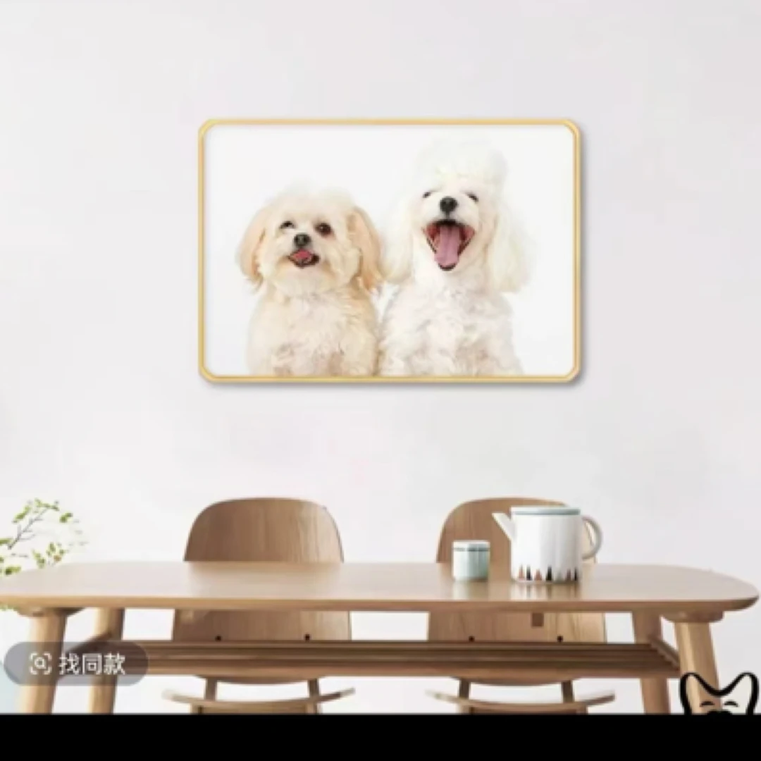 宠物相册名信相框尺寸大小联系客服