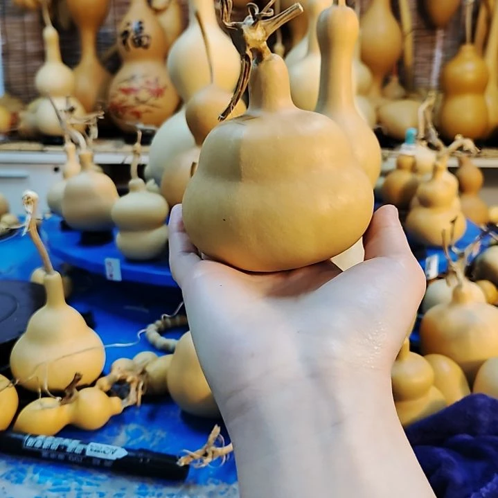 C*他他他他他他他他他他