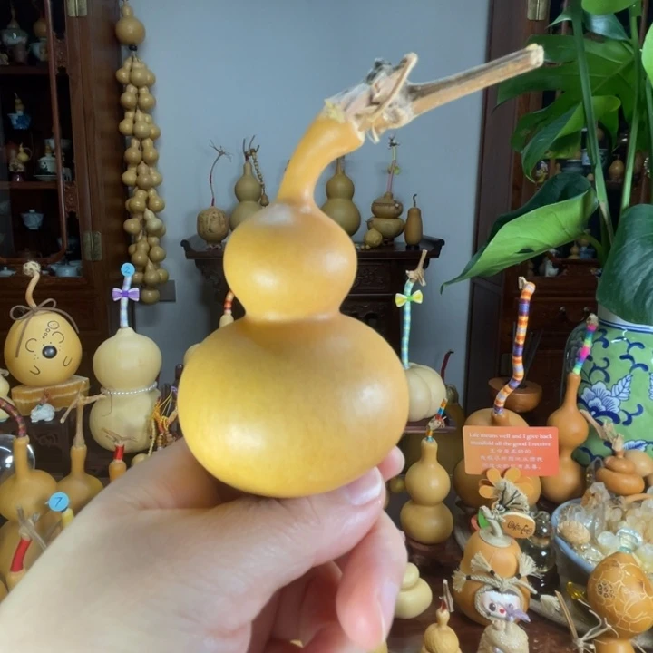 厚皮响籽弯嘴福葫芦