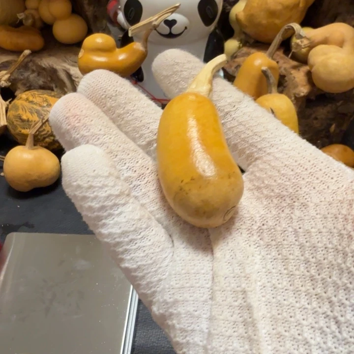 ～****66……………………………………