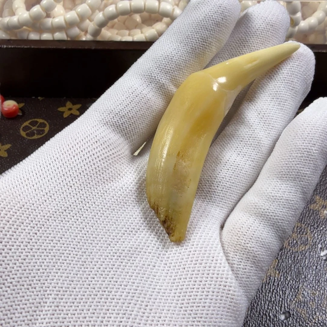 手串/手链骆驼牙手串