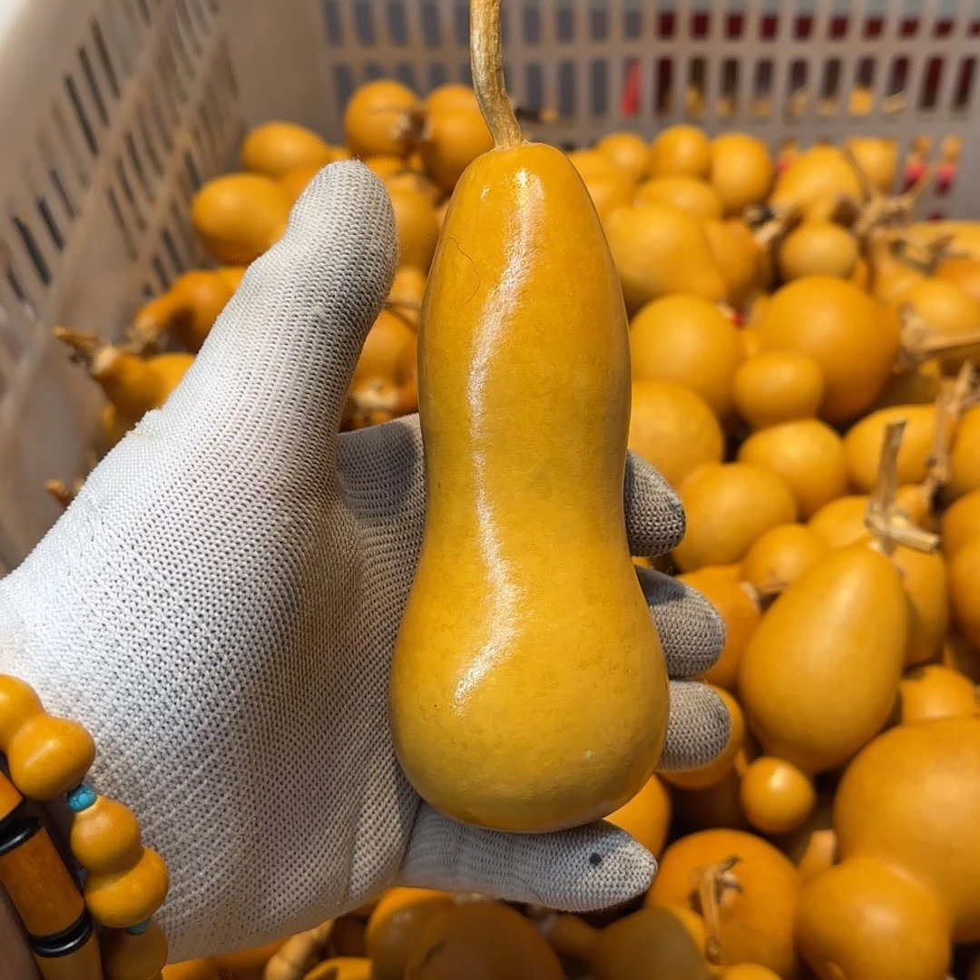 宗*哈哈哈哈哈哈哈哈哈哈哈哈哈