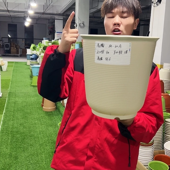 正品高陶口30高31白色3只无托