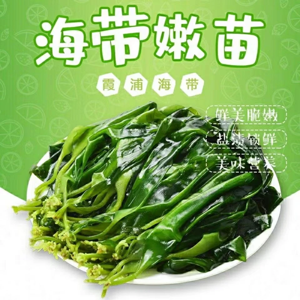 新鲜盐渍海带苗鲜嫩海带苗小海带营养爽脆鲜香火锅菜凉拌菜好食材