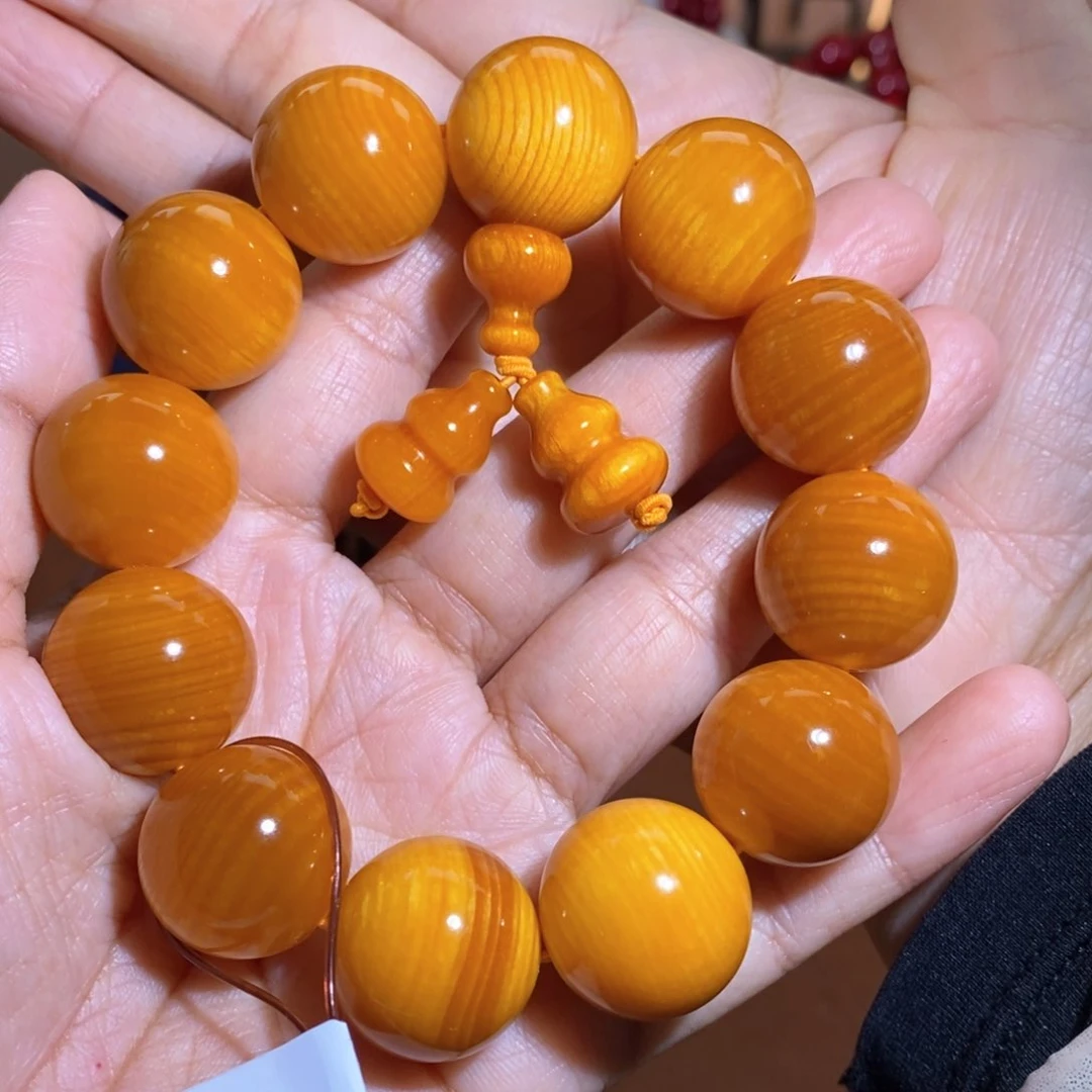 贝壳杉帝王血龙木2.0