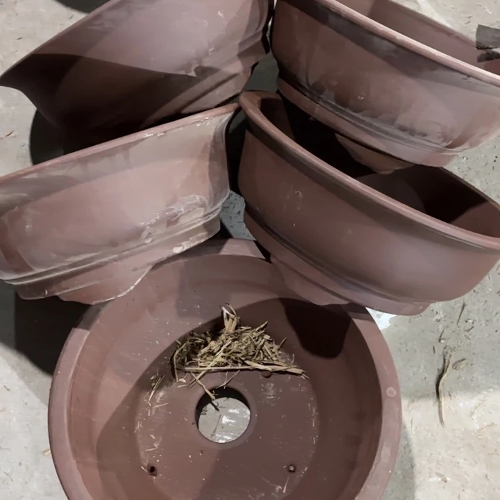 花盆紫砂100-5。 32.5-13.5。