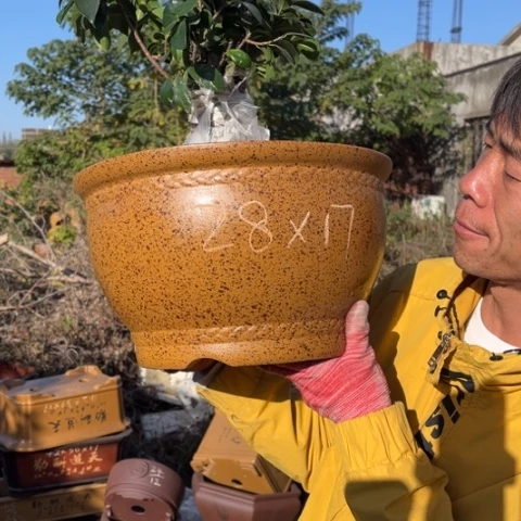 花盆紫砂特价包邮送盒子