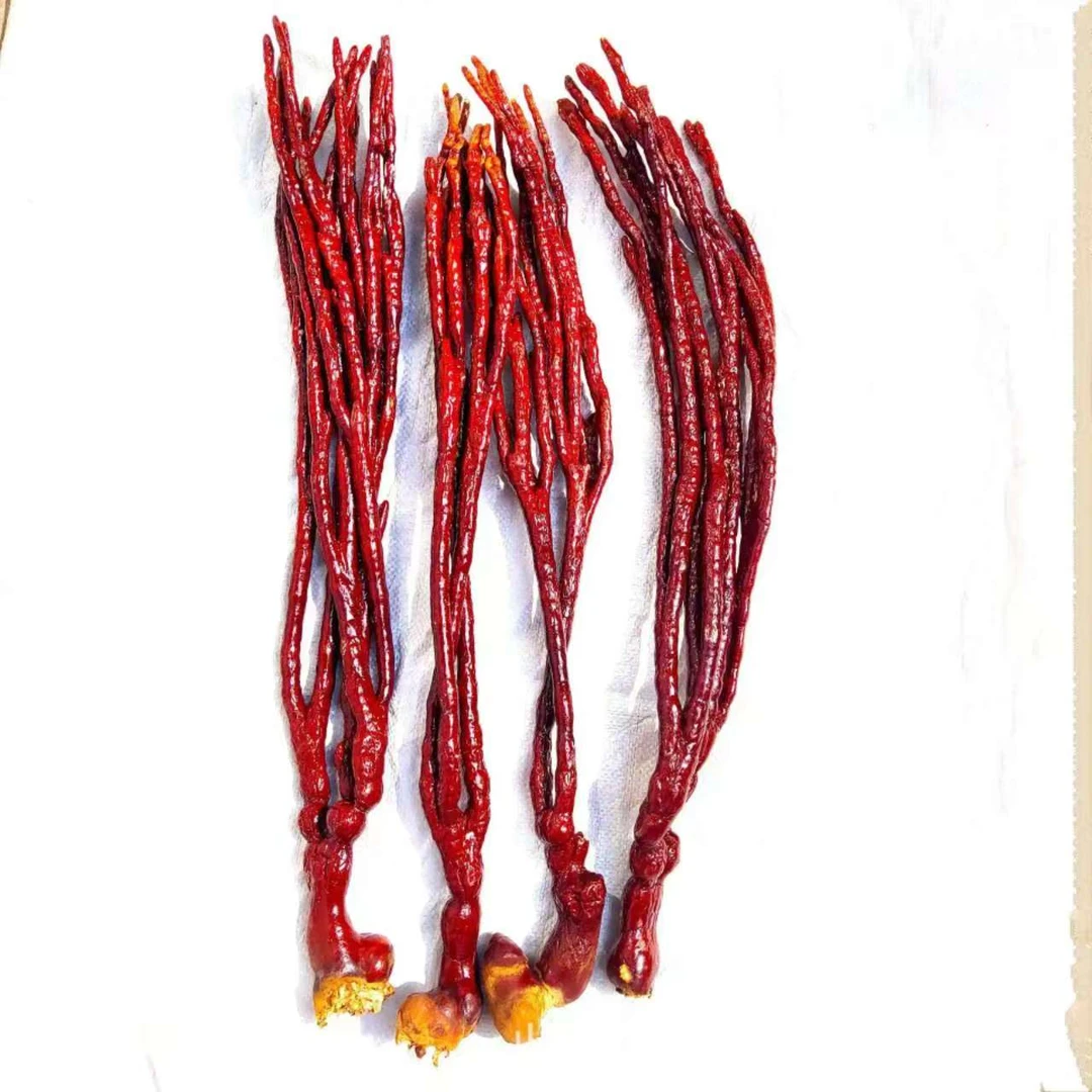 鹿角灵芝优选高山灵芝草 欢乐专属