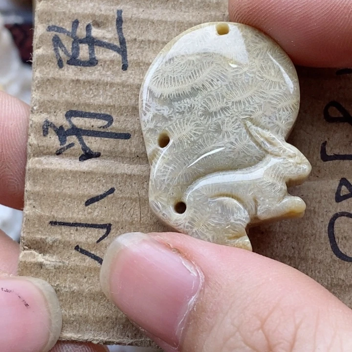 颈饰未镶嵌硅化珊瑚（珊瑚玉）一**子