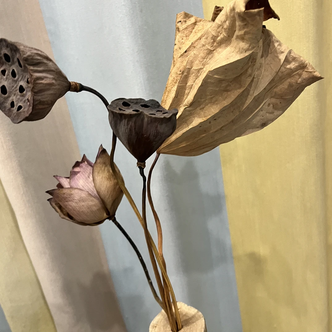 手工真杆莲蓬原杆带籽无拼接古法姹寂/禅意风 10只