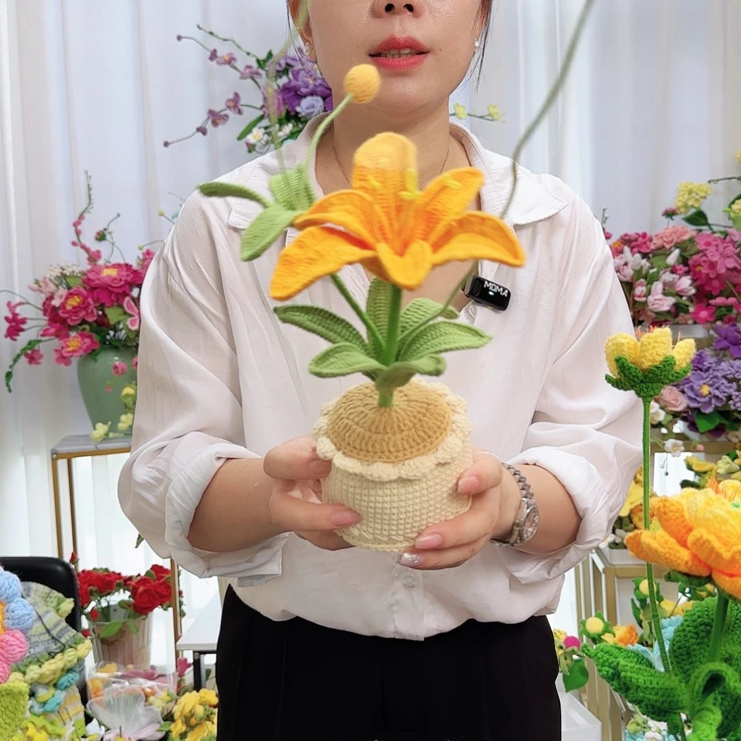 棉橘色百合盆栽礼物