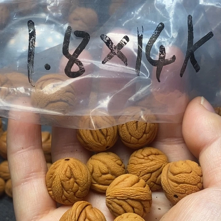 桃核吊坠秦岭山野生桃核