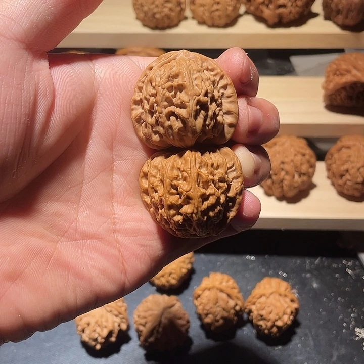 白狮子福利练手对子