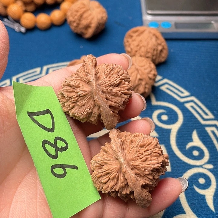 四座楼4.3尺寸全品0000000