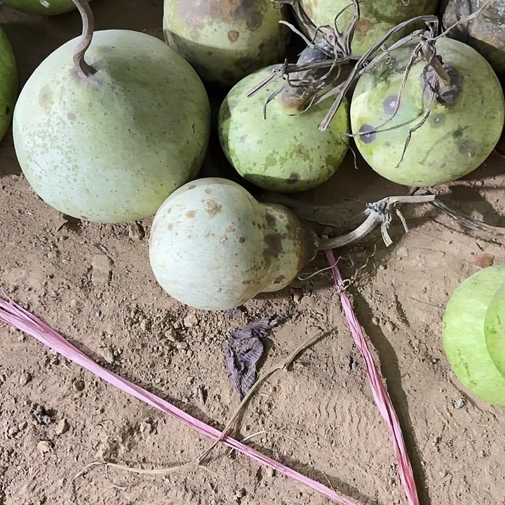 四***.木家居葫芦精品摆件