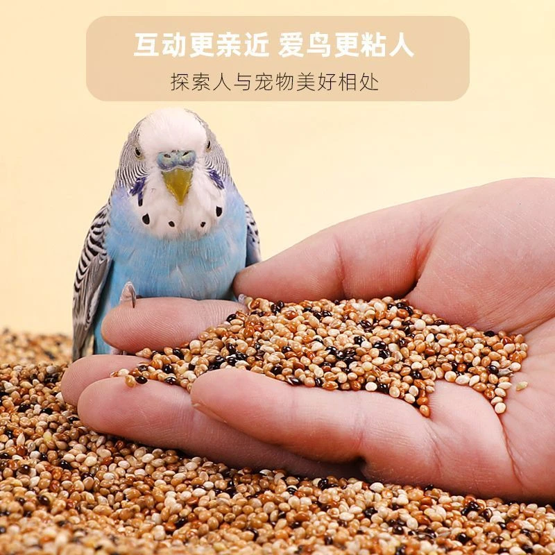 5斤装鹦鹉专用鸟粮A