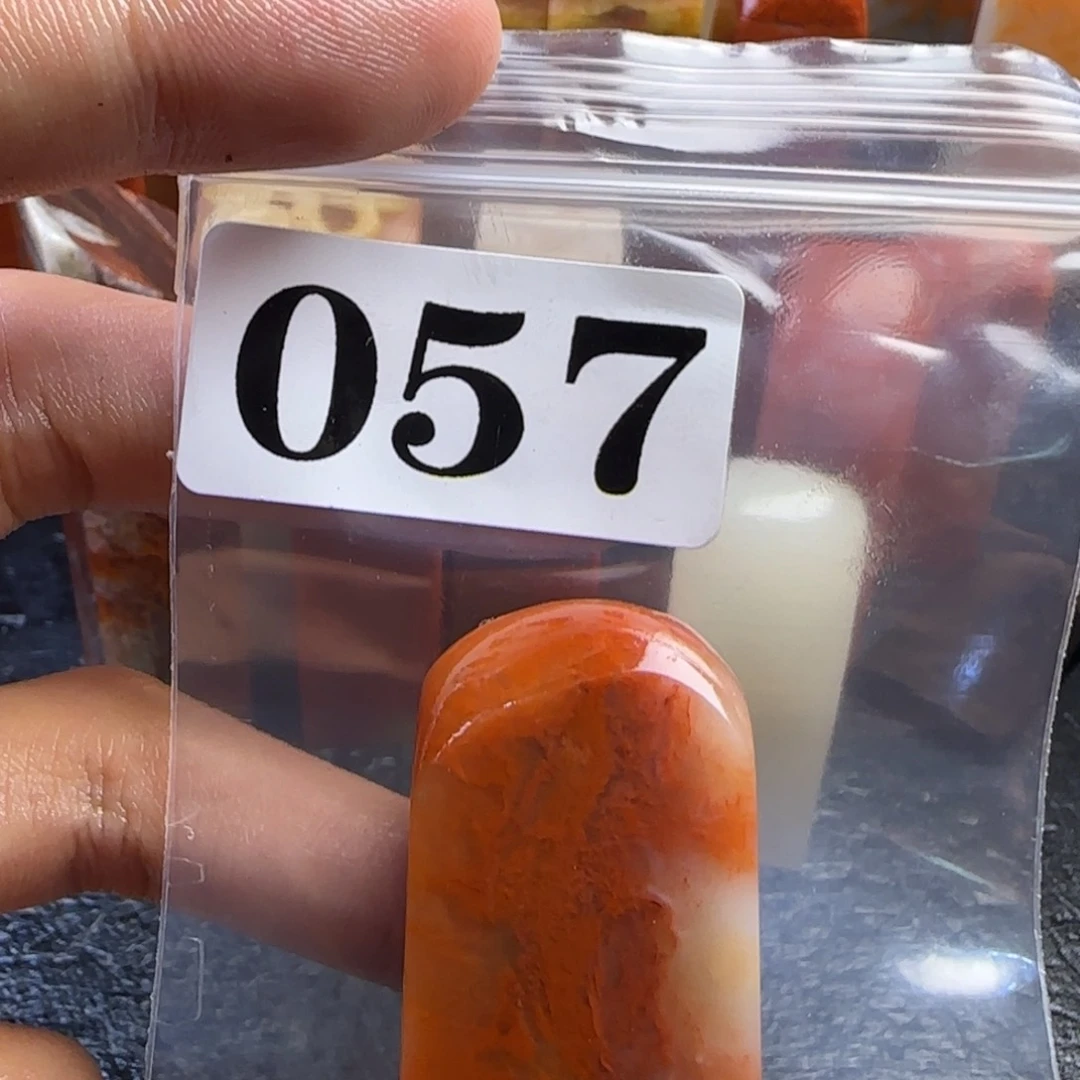 老挝石振**学kkkllkkkkkm