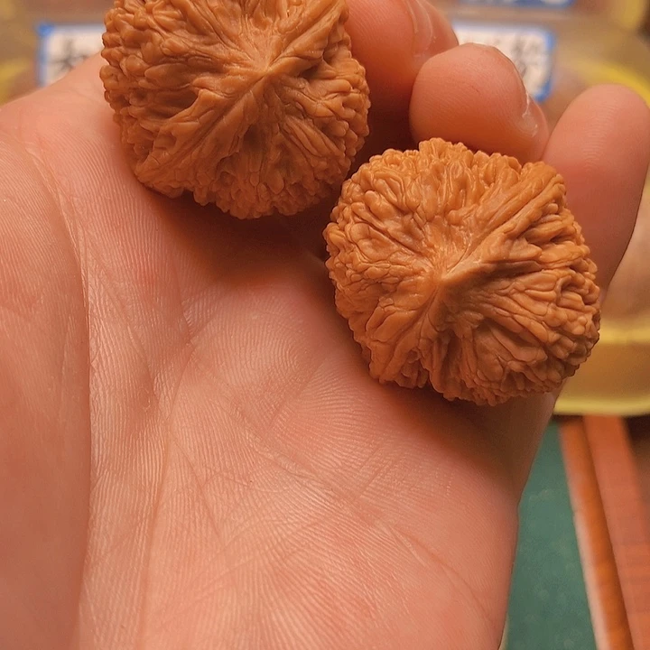 文玩核桃把件边34肚36大蒜头