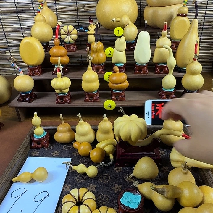 主***贵葫芦哈哈哈哈哈哈哈