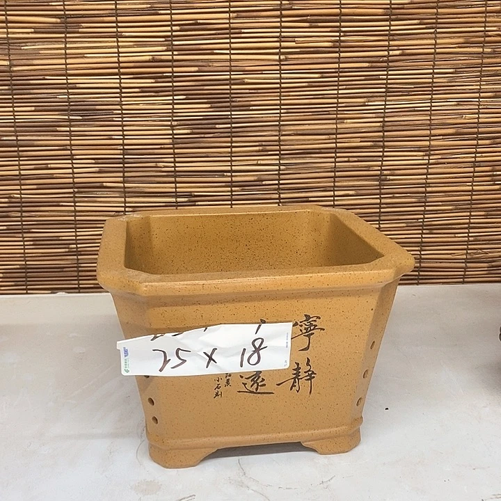 花盆紫砂我在外面