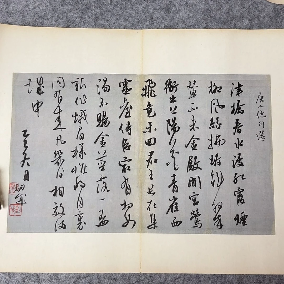 书法国展书家徐卫科34×45