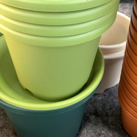 树脂25果绿带托7个