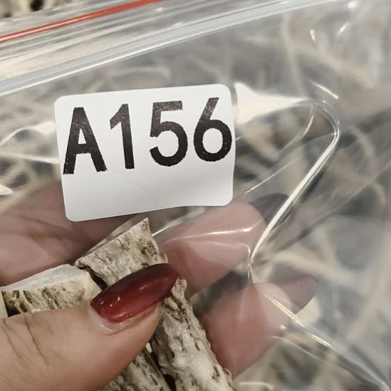 祥***和鹿角鹿角鹿角鹿角鹿角