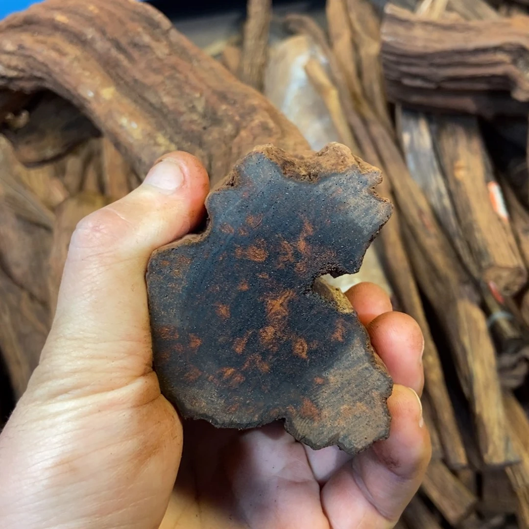 木是**呀云南龙肝香1516老型横纹