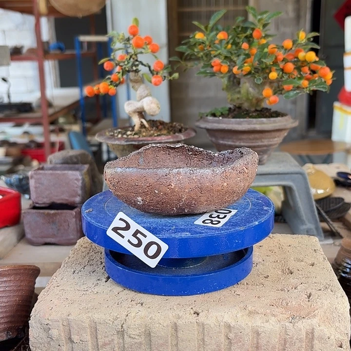 10x7.5x3.3/////////250////