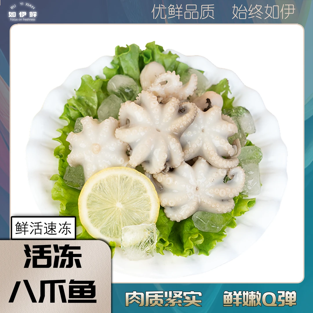 活冻八爪鱼 肉质Q弹鲜嫩 海捕速冻 净重400g/包