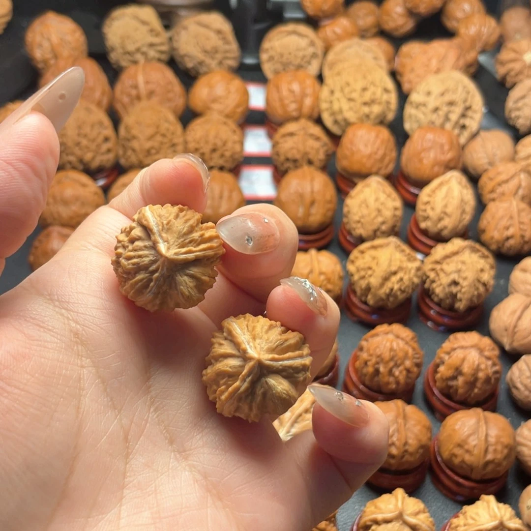 10号矮桩三棱。核桃